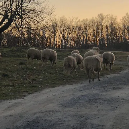 La Salceda * Torre Val de San Pedro