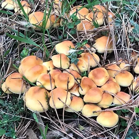 度假居 La Salceda 托雷瓦尔德圣佩德