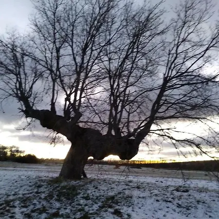 La Salceda * Torre Val de San Pedro