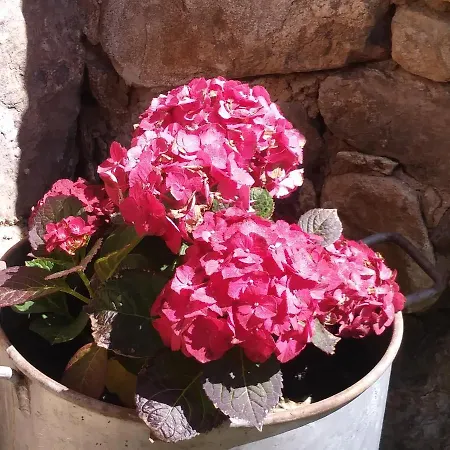 La Salceda 度假居 *